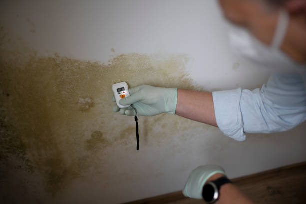 Best Bathroom Mold Remediation in Evans, GA