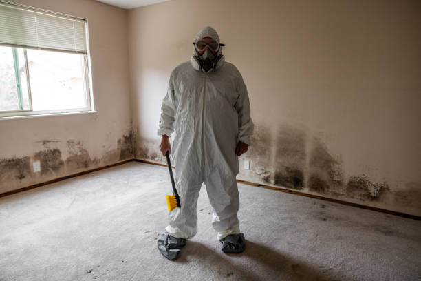 Best HVAC Mold Remediation in Evans, GA